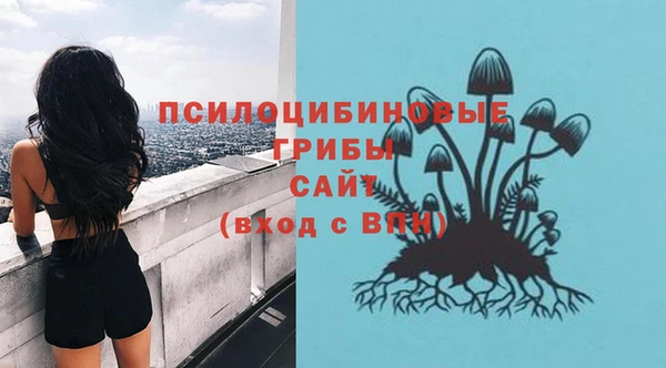 2c-b Балабаново