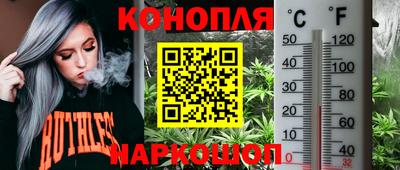 мдпв Апрелевка