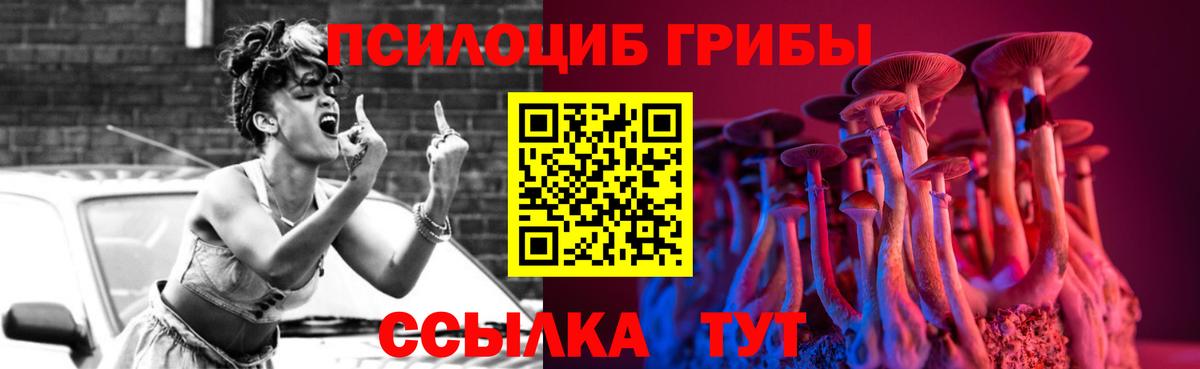 Псилоцибиновые грибы Cubensis Воскресенск