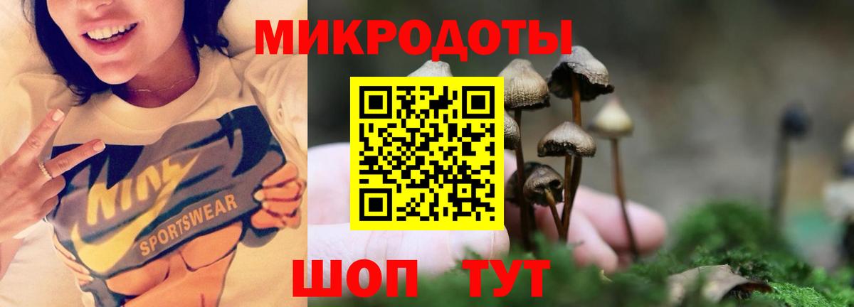 Псилоцибиновые грибы Cubensis  Воскресенск 